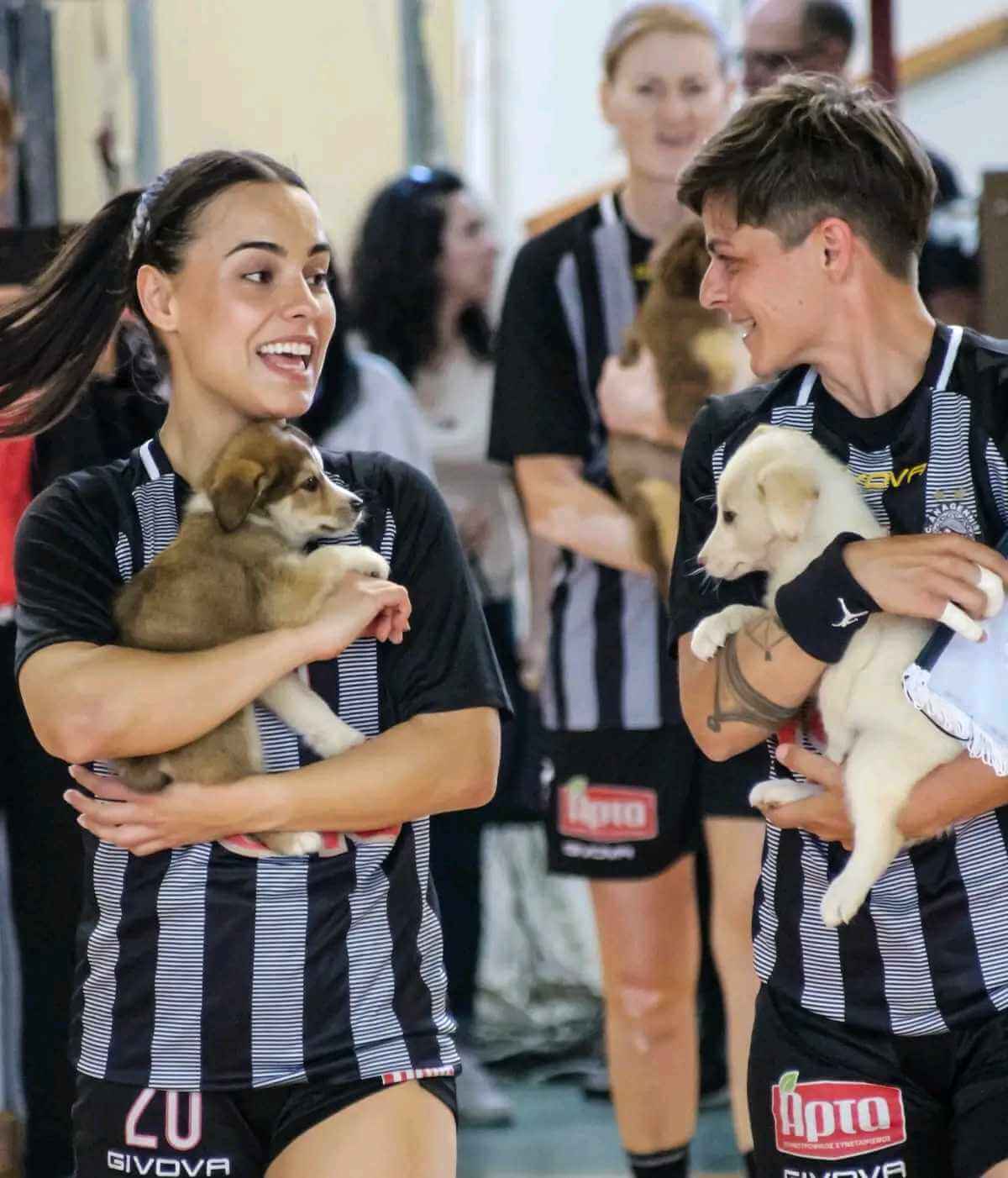 Φιλοζωικό μηνυμα από την Αναγέννηση Άρτας